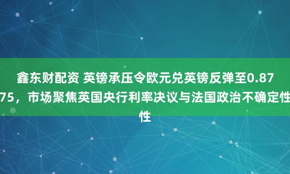 鑫东财配资 英镑承压令欧元兑英镑反弹至0.8775，市场聚焦英国央行利率决议与法国政治不确定性