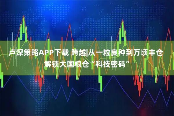 卢深策略APP下载 跨越|从一粒良种到万顷丰仓 解锁大国粮仓“科技密码”